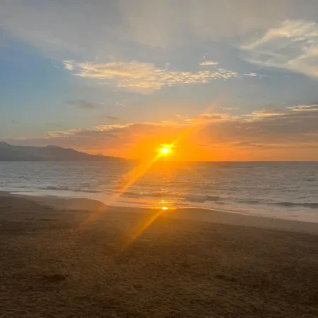 Cary's * 大加那利岛拉斯帕尔马斯